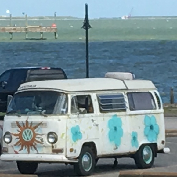 Meet your Posher, Gypsy❗️☺️✌️🧡🎶🥰 - Picture 5 of 8